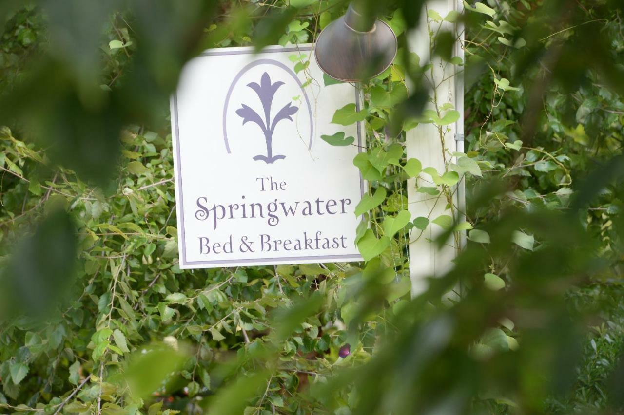 The Springwater Bed And Breakfast Saratoga Springs Esterno foto