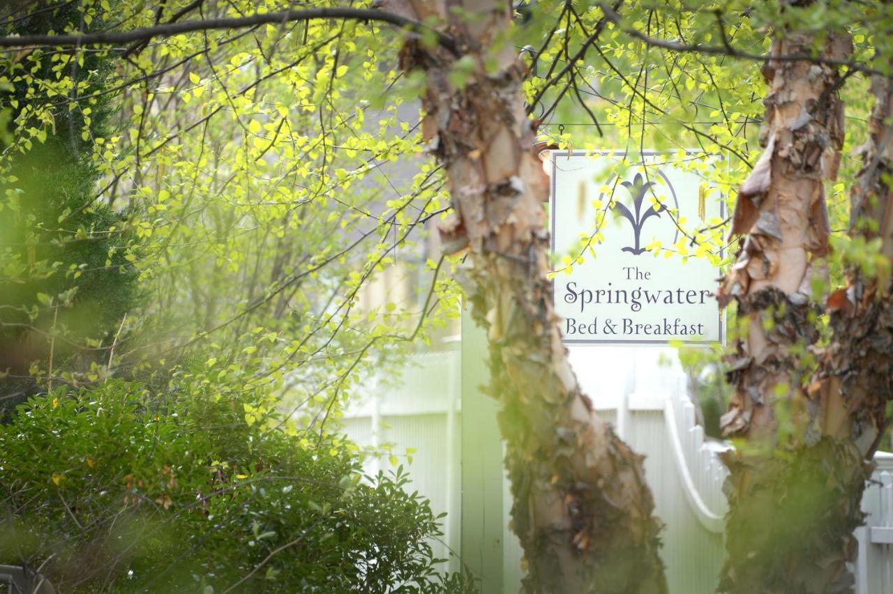 The Springwater Bed And Breakfast Saratoga Springs Esterno foto